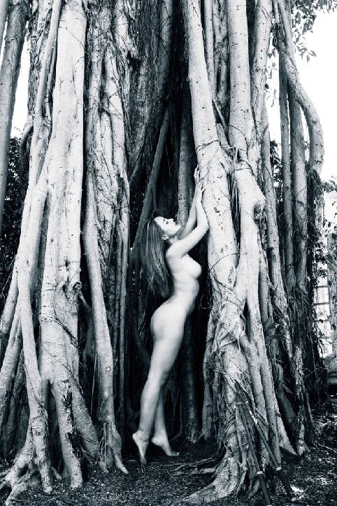 Banyan Tree - Messi Schneider